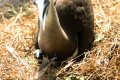 Mom & baby boobie